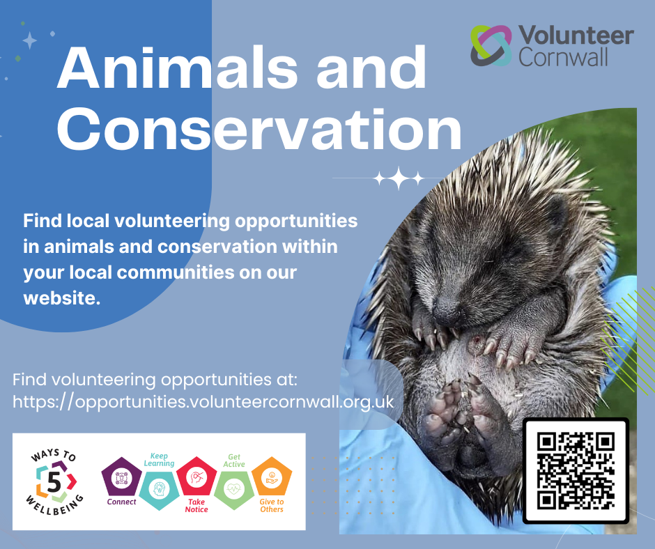 5 Ways to Wellbeing: Animals and Conservation