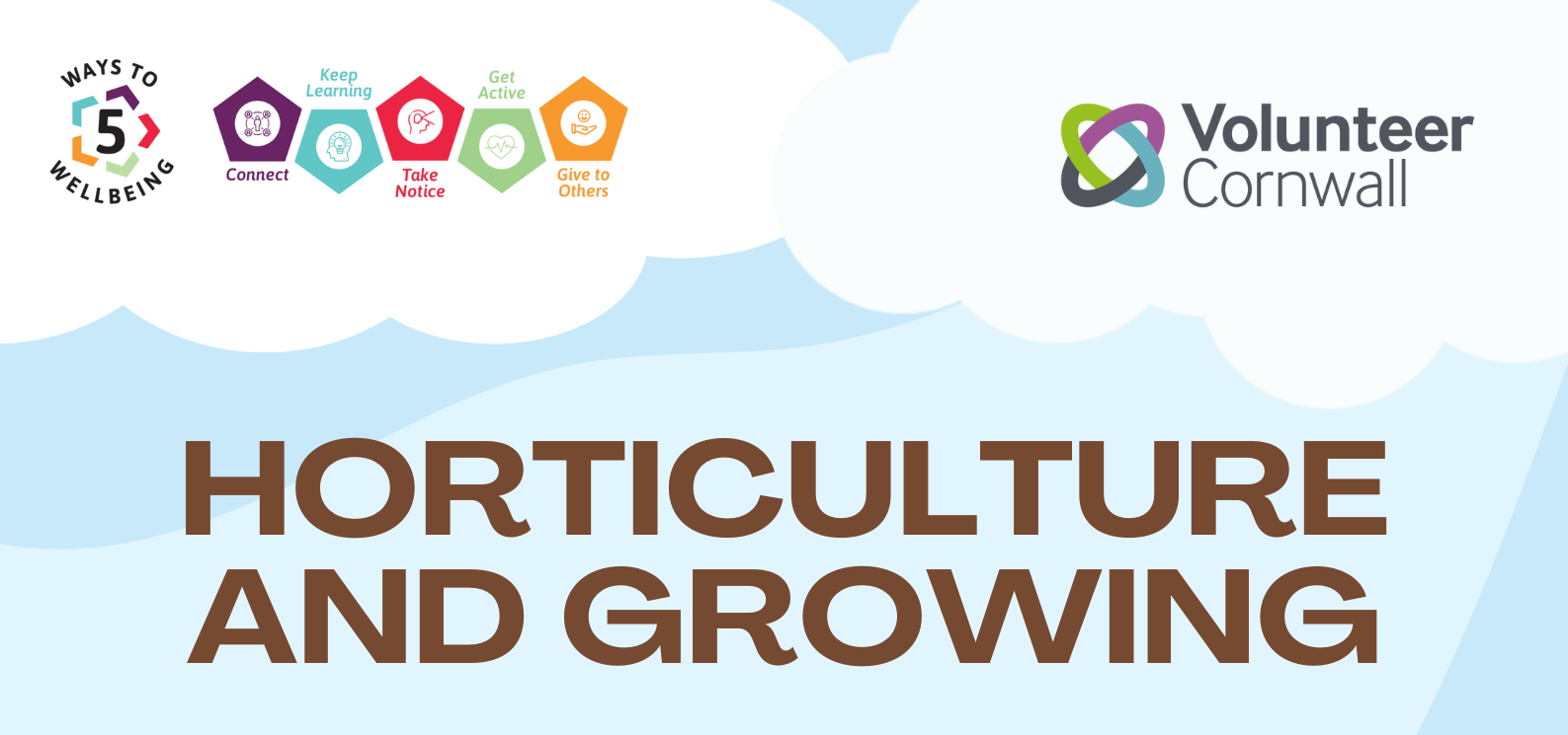 5 Ways to Wellbeing: Horticulture and Growing