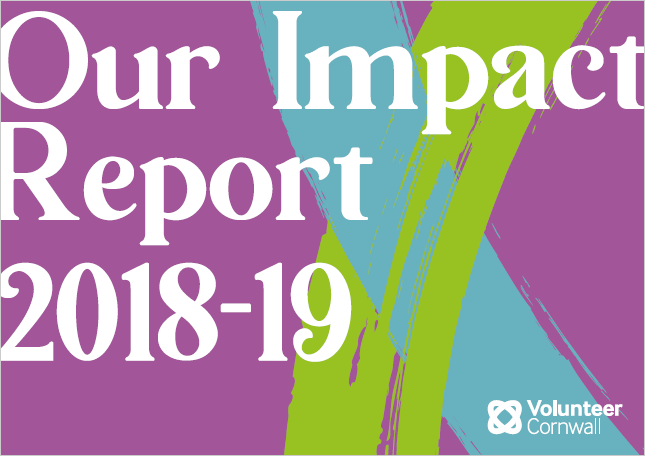 VC Impact Report
